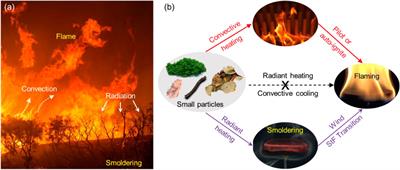 Smoldering and Flaming of Disc Wood Particles Under External Radiation: Autoignition and Size Effect
